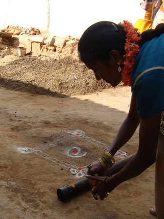 Pongal_2010__9_