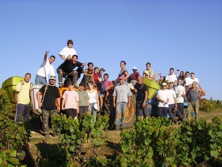 photos_vendanges_2007_001