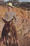 bb_film_VM_set_1965_cheval
