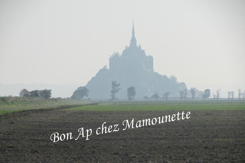baie du Mt St Michel 002