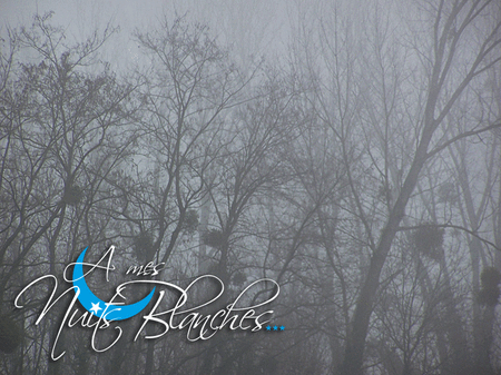 brouillard